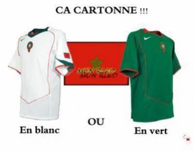 � le quel tu pr&eacute;f&eacute;re? � par torres-joe